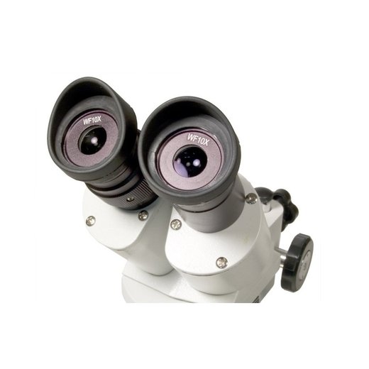 LEVENHUK 3ST - Stereoskopický mikroskop