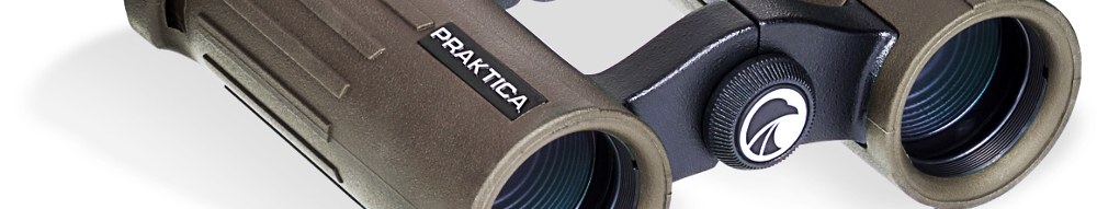 praktica