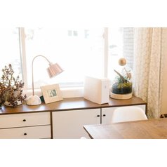 PhoneSoap Homesoap White