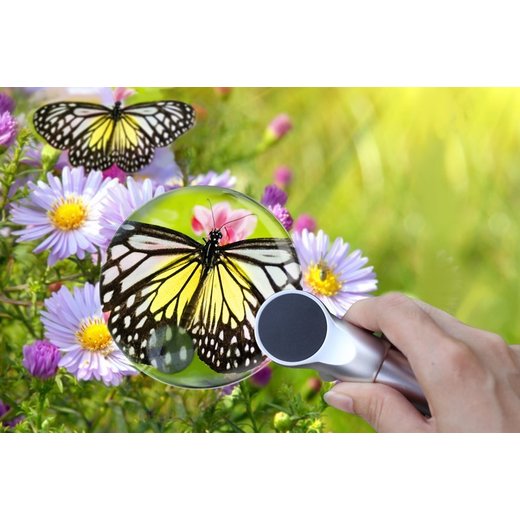 Lupa Levenhuk Zeno 400, 2x/4x, 88/21mm, 2 LED, metal