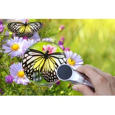 Lupa Levenhuk Zeno 400, 2x/4x, 88/21mm, 2 LED, metal