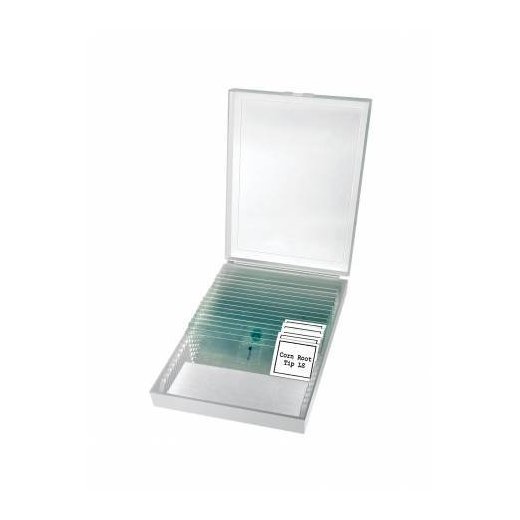 Bresser Erudit Basic Mono 40-400x Mikroskop