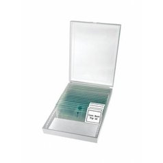 Bresser Erudit Basic Mono 40x-400x
