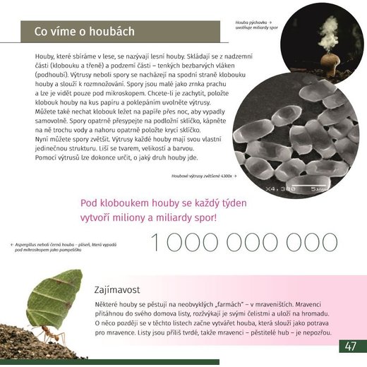 Neviditelný svět - vzdělávací publikace (kniha)