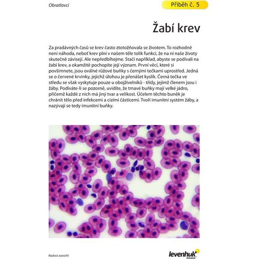 LEVENHUK N80 NG - Sada preparátů