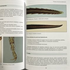 mikroskop_zcela_jednoduse