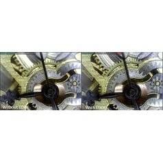 Dino-Lite AM7915MZTL