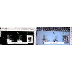 Dino-Lite AM7515MT4A