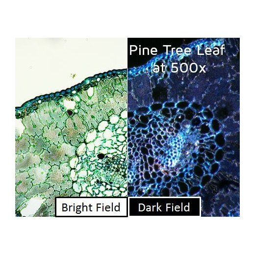 BL-CDW - Darkfield pro Dino-Lite
