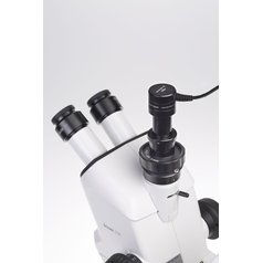 Dino-Lite AM7025X