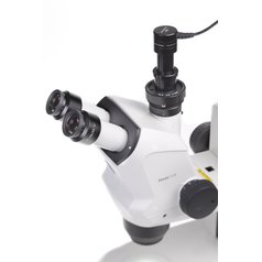 Dino-Lite AM7025X