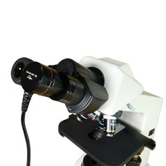 Dino-Lite AM7025X