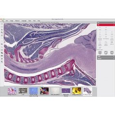 MOTICAM 3+ (3,0 Mpix) - Digitální kamera