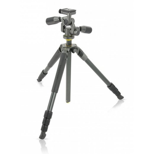 Vanguard Alta Pro 2 264AP stativ