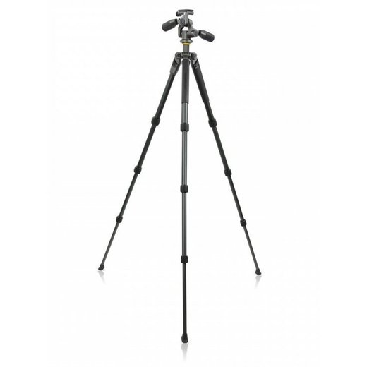 Vanguard Alta Pro 2 264AP stativ