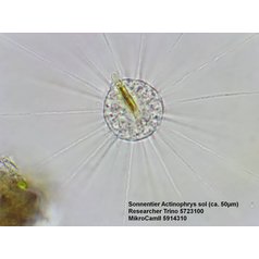 Bresser Researcher Trino 40-1000x Mikroskop