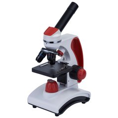 DISCOVERY Pico Terra + publikace