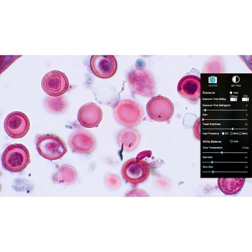 MOTICAM 1080 (8.0Mpix - SD karta) Full HD kamera