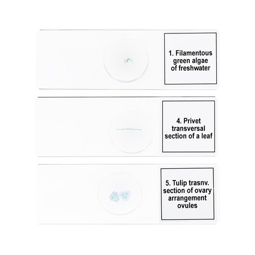 DISCOVERY Prof DPS 5. „Biologie“ sada mikropreparátů