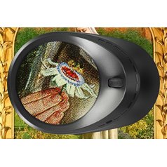 Levenhuk ERGO 30 - digitální lupa