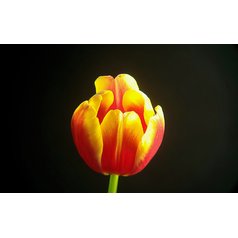 Kelvin MAK90 AZ GOTO Wi-Fi - fototeleskop