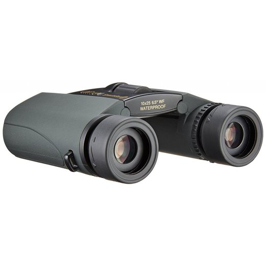 Nikon SPORTSTAR EX 10X25 Charcoal - Dalekohled